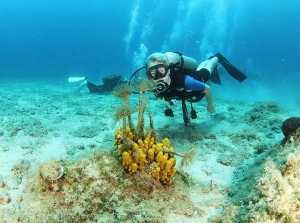 Kurs PADI Divemaster Hurghada