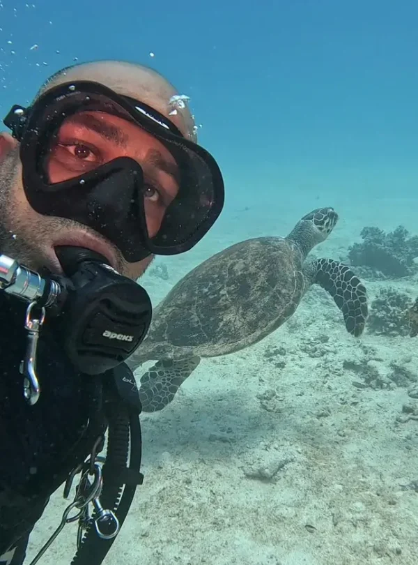 Kurs odświeżający PADI Hurghada