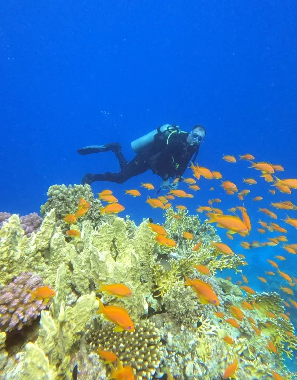 Daily Diving Hurghada