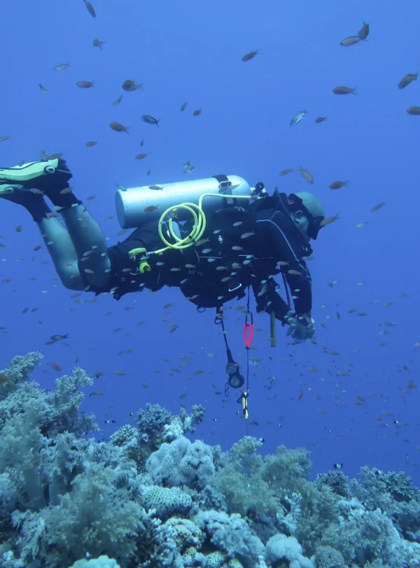 Intro Dive Hurghada
