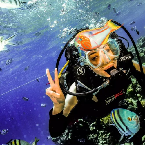 Elphinstone Reef Hurghada