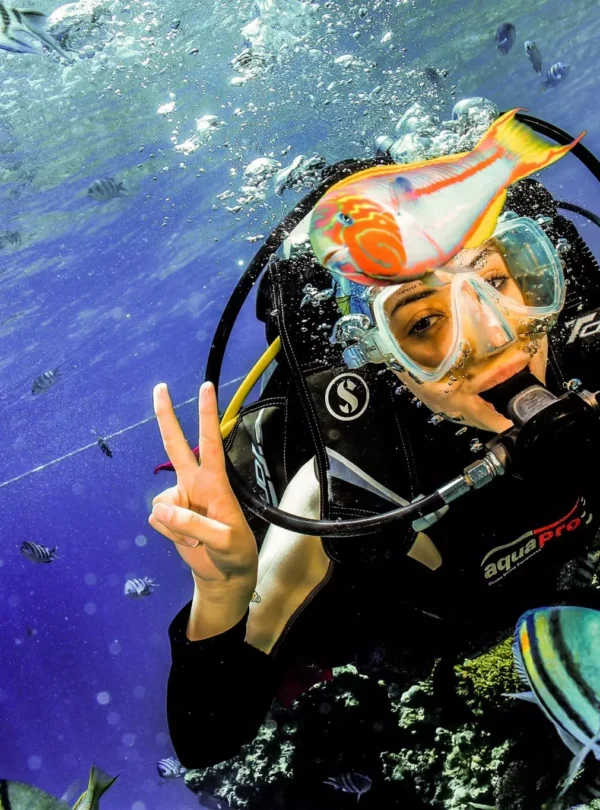Elphinstone Reef Hurghada