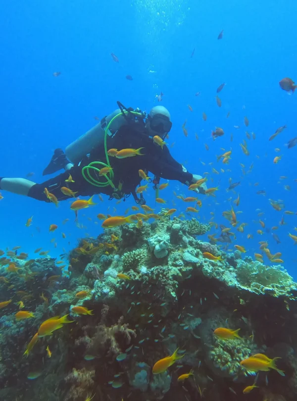 Elphinstone Reef Hurghada