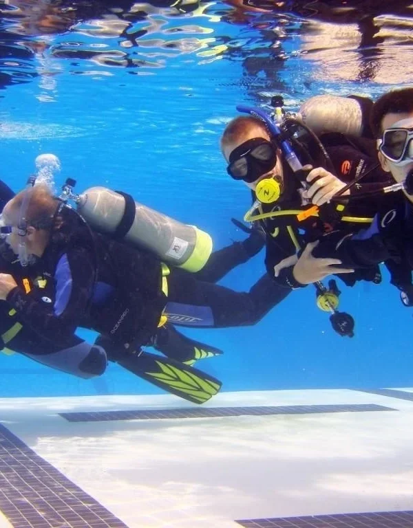 Kurs odświeżający PADI Hurghada