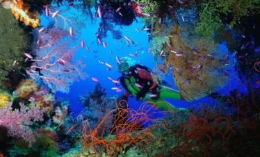 Kurs PADI Divemaster Hurghada