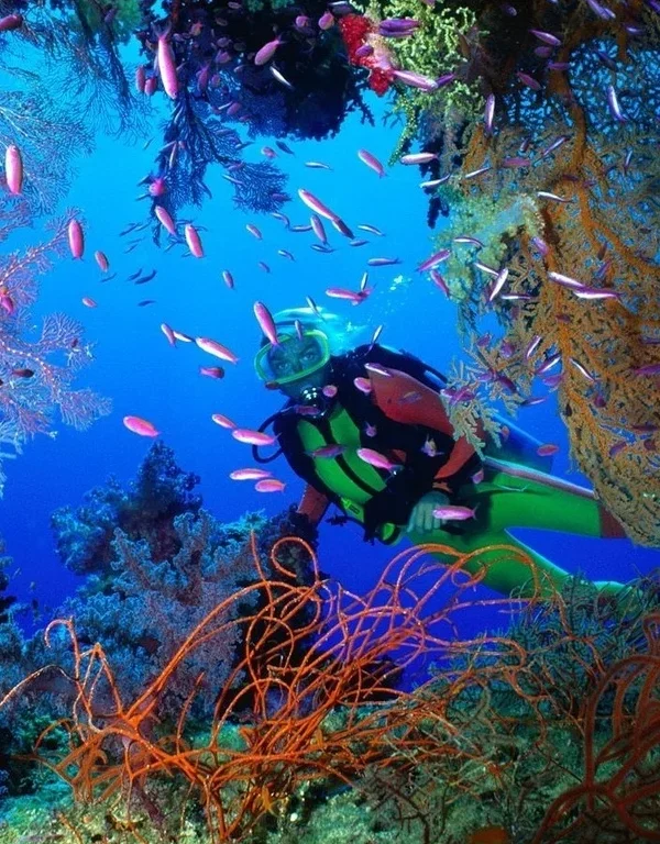 Kurs PADI Divemaster Hurghada