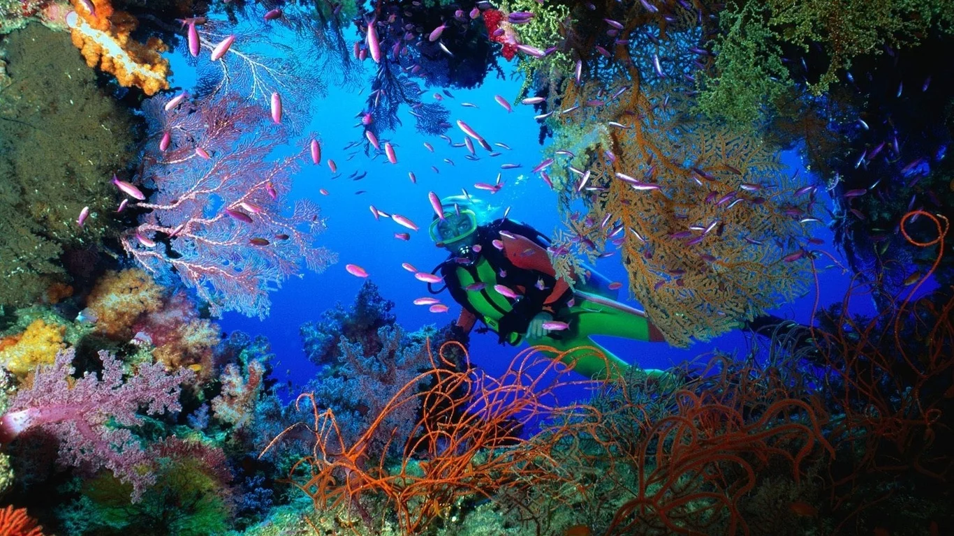 Kurs PADI Divemaster Hurghada