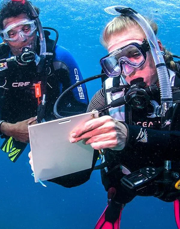 Kurs PADI Divemaster Hurghada