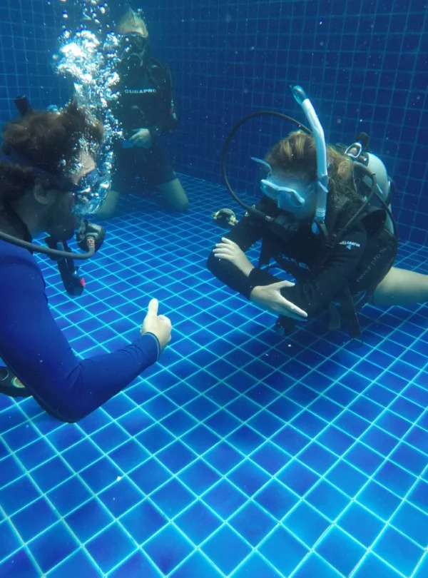Kurs PADI Divemaster Hurghada