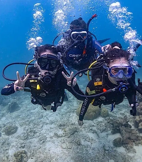 Kurs PADI Divemaster Hurghada