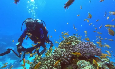 Daily Diving Hurghada