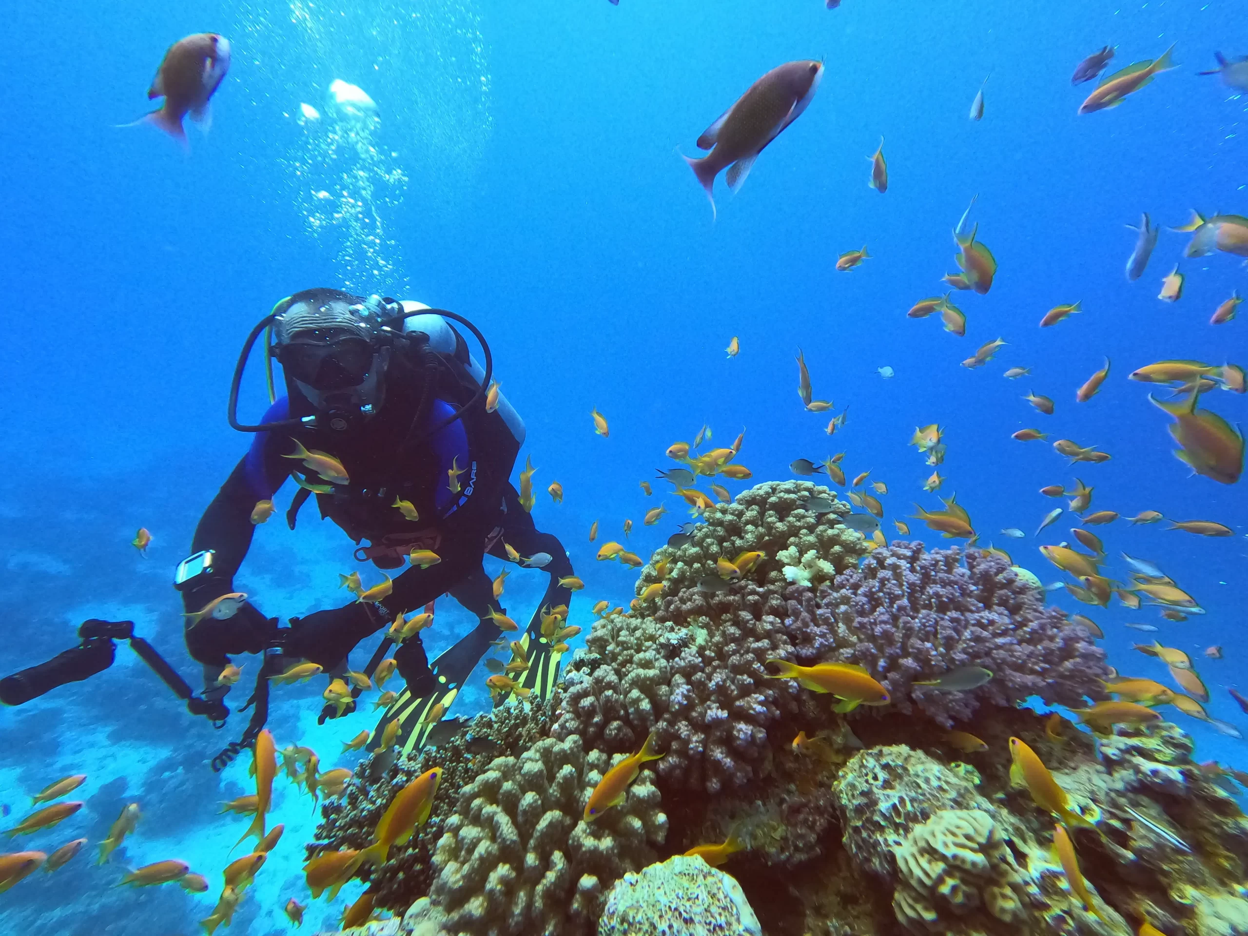 Daily Diving Hurghada
