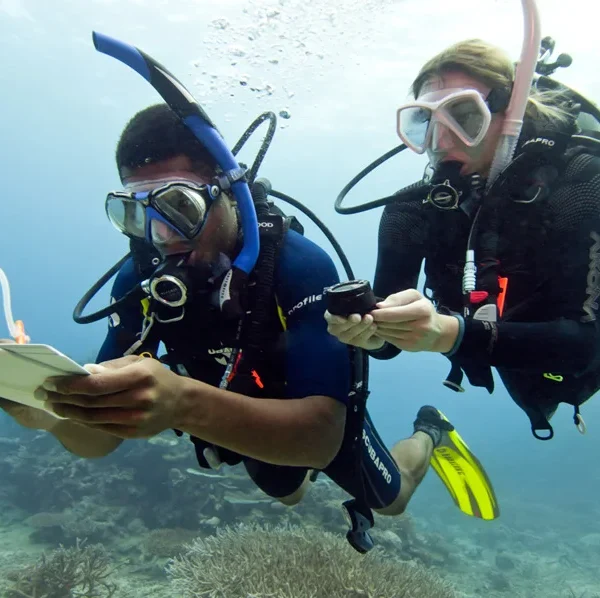 Advanced Open Water Hurghada