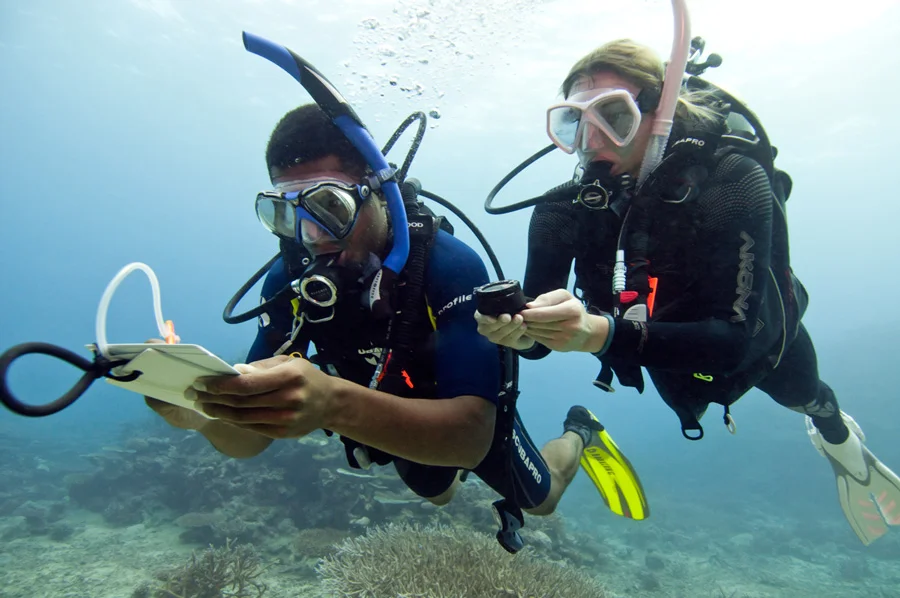 Advanced Open Water Hurghada