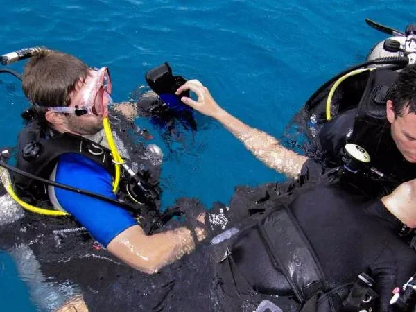 Kurs PADI Rescue Diver Hurghada