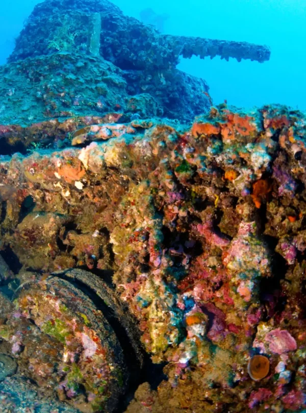 Kurs PADI Wreck Diver Hurghada