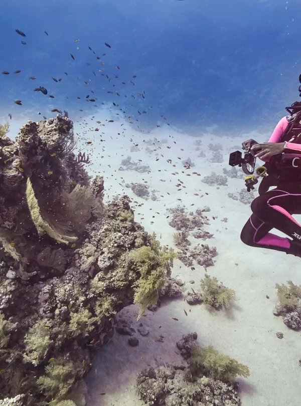 Kurs PADI Deep Diver Hurghada