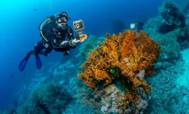 Kurs PADI Deep Diver Hurghada
