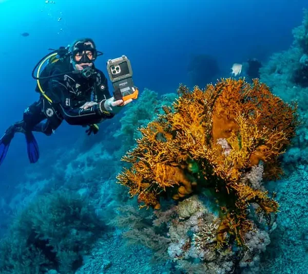 Kurs PADI Deep Diver Hurghada
