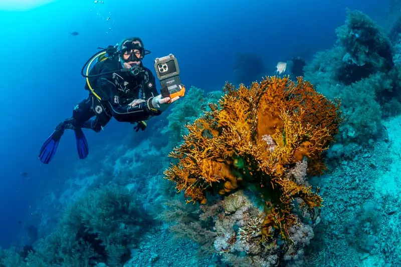 Kurs PADI Deep Diver Hurghada