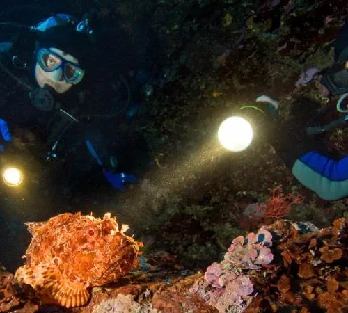 Kurs nurkowania nocnego PADI Hurghada