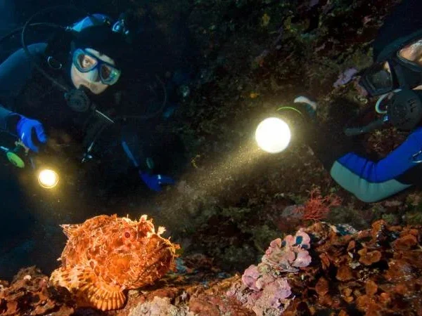 Kurs nurkowania nocnego PADI Hurghada