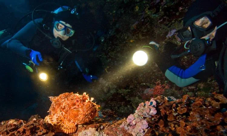 Kurs nurkowania nocnego PADI Hurghada