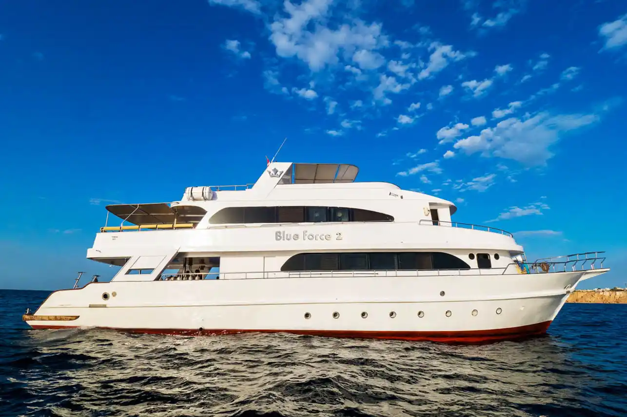 Nurkowanie z łodziami typu liveaboard na Morzu Czerwonym